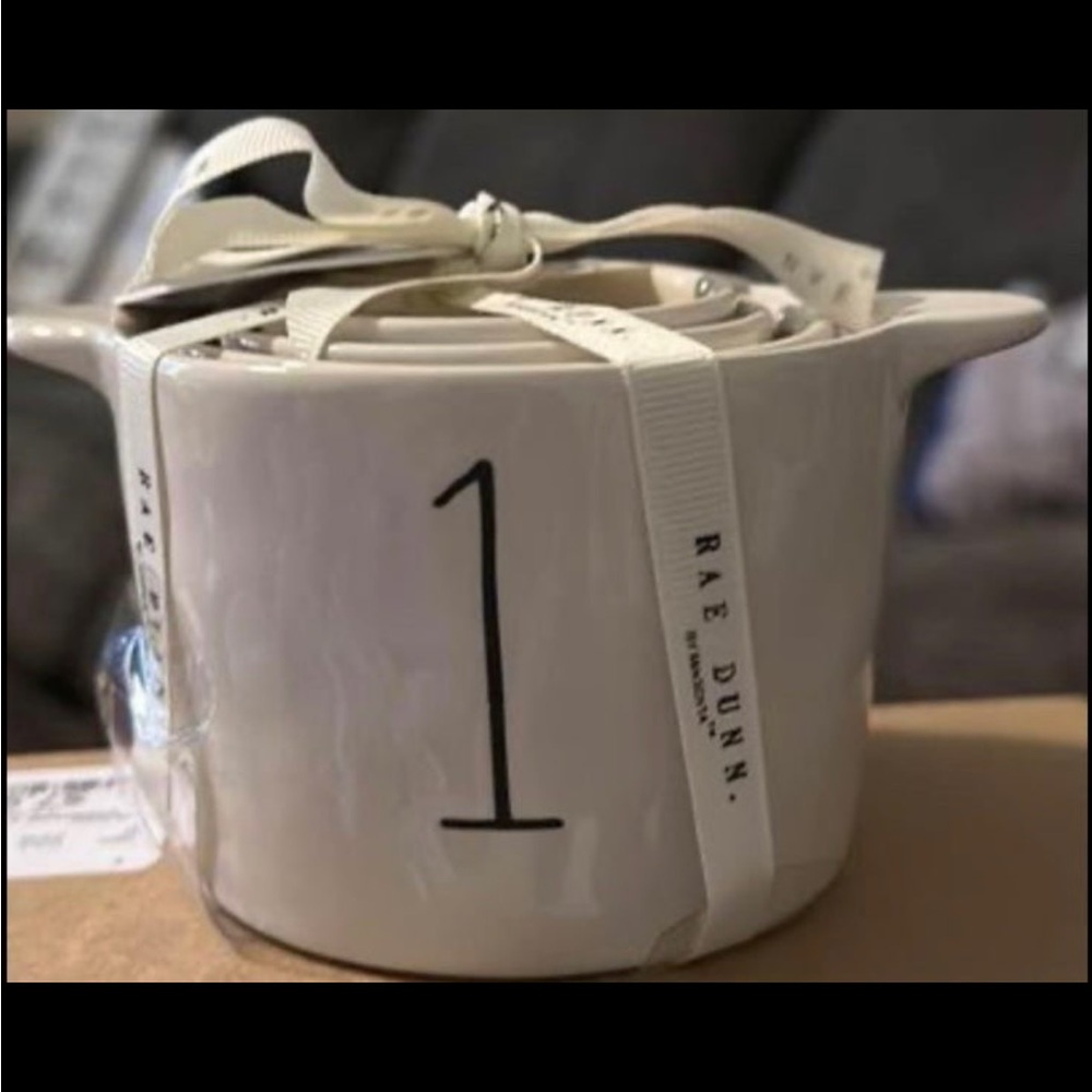 Rae Dunn BUCKET Measuring Cups